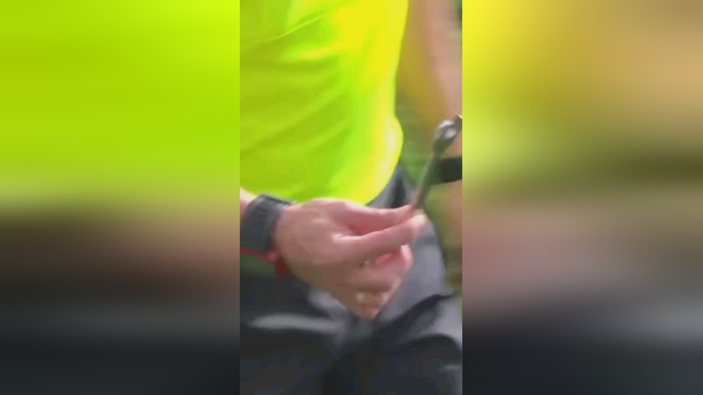 个人表现和