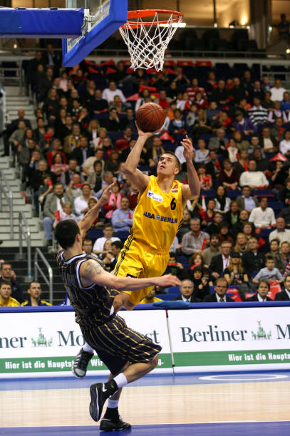 与了多项基 与了多项基