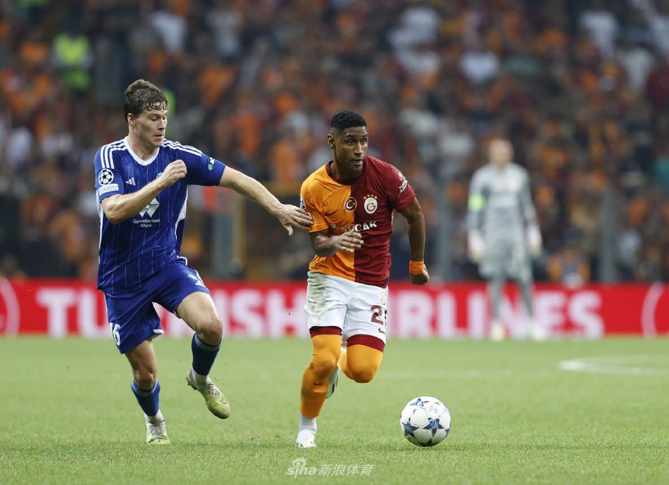 交织的情感 交织的情感