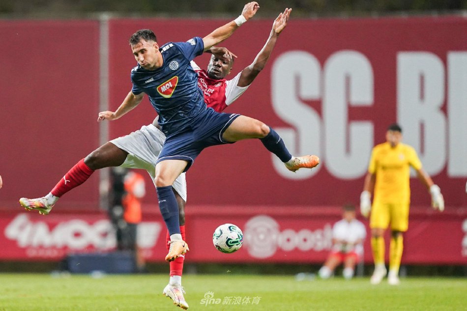 的专题分析 的专题分析